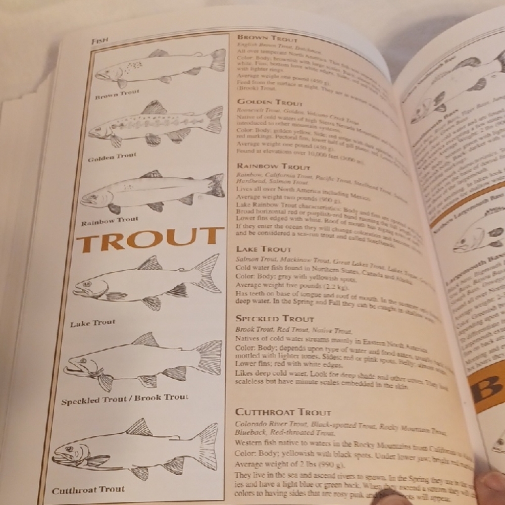 Camping & Wilderness Survival Book The Ultimate Outdoor Book - Picture 7 of 12